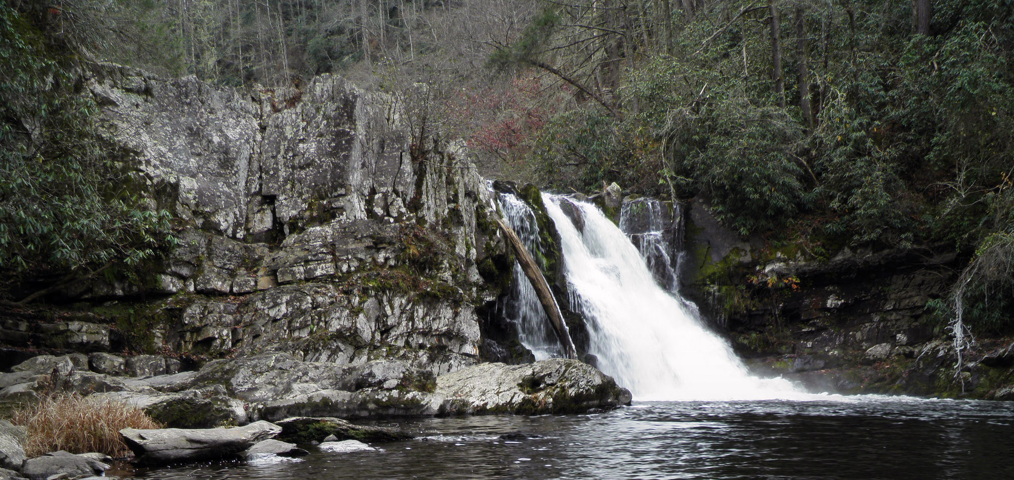 Abrams Falls Winter.jpg